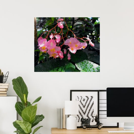 Angel Wing Begonias Poster (Thuiskantoor)