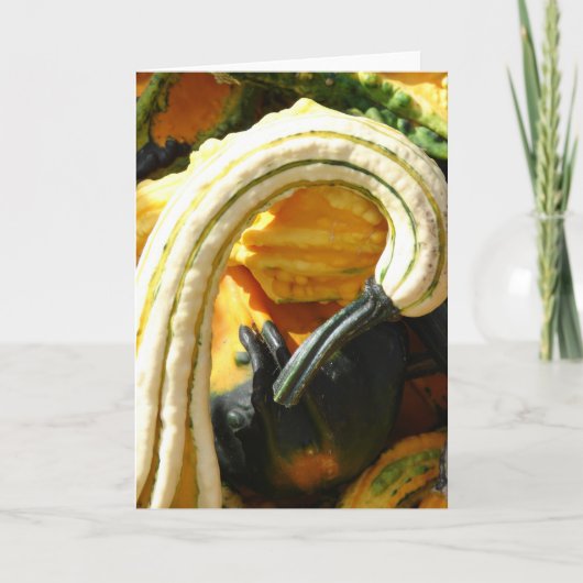 Angel Wing Gourd Kaart (Voorkant)