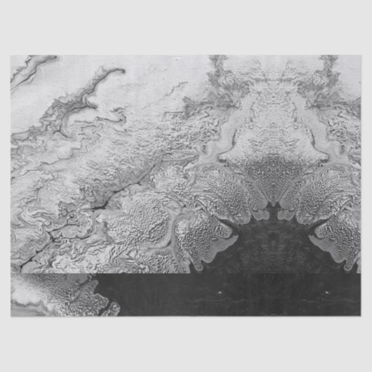 Angel Wing Heaven White Print Pattern Faux Stone Tissuepapier (Voorkant)