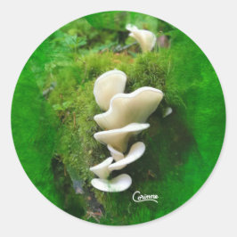 Angel Wing Mushroom - Envelopstickers Ronde Sticker