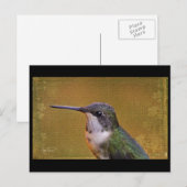 Angel Wing Series Briefkaart (Voorkant / Achterkant)