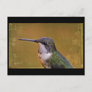 Angel Wing Series Briefkaart
