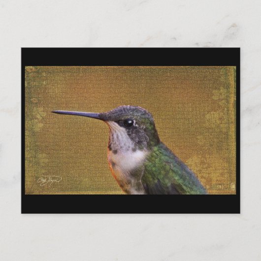 Angel Wing Series Briefkaart (Voorkant)