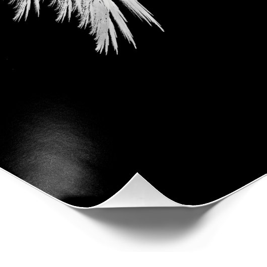 ANGEL WINGS Black Poster (Hoek)