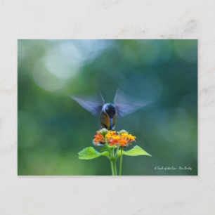 Angel Wings Briefkaart