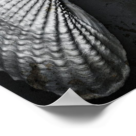 Angel Wings BW Poster (Hoek)