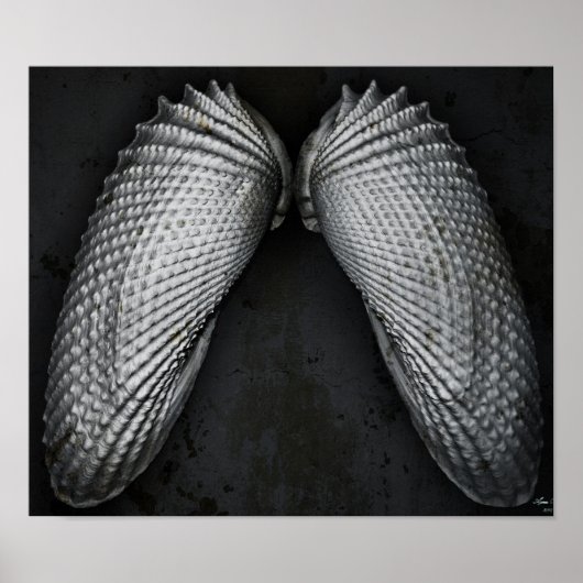 Angel Wings BW Poster (Voorkant)