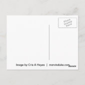 Angel Wings - De reeks Briefkaart (Achterkant)