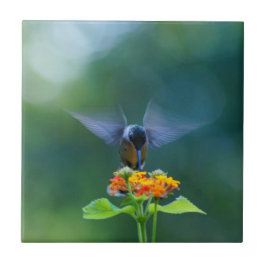 Angel Wings Hummingbird Tegeltje