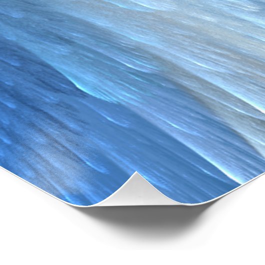 Angel Wings Poster (Hoek)