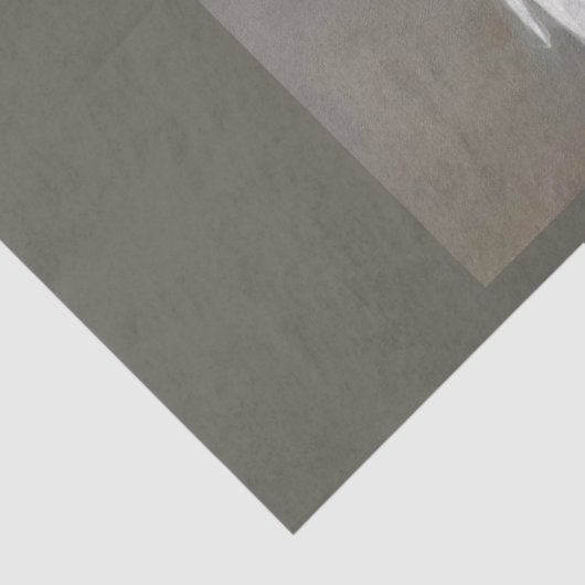 Angel Wings-weefselpapier Tissuepapier (Detail)