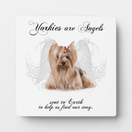 Angel Yorkie Plaque Fotoplaat (Voorkant)