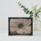 Angeled Sunflower Kijk Briefkaart (Staand voorkant)