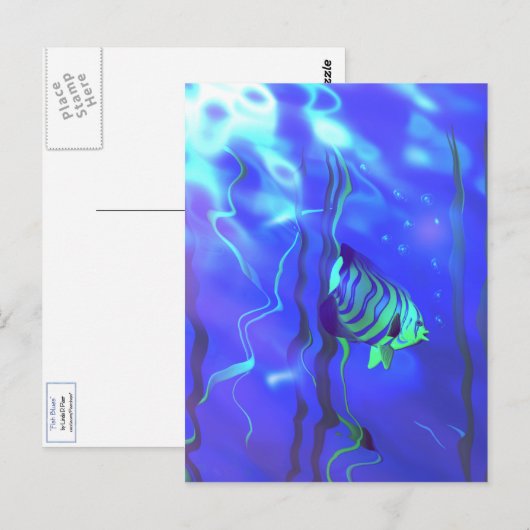 Angelfish Blues Briefkaart (Voorkant / Achterkant)