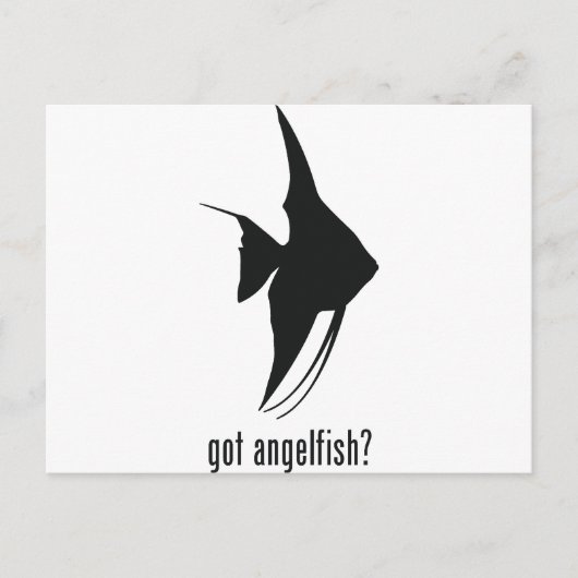 Angelfish Briefkaart (Voorkant)