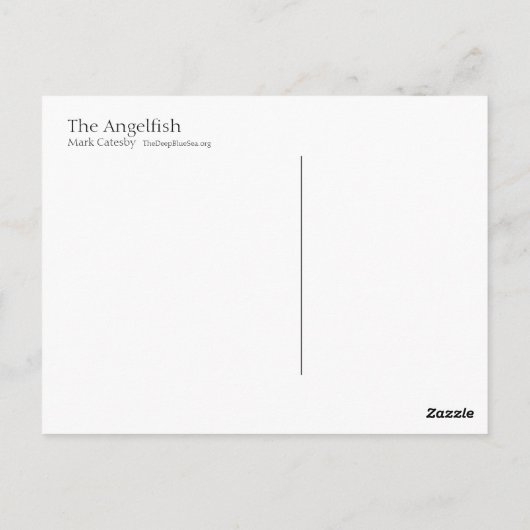 Angelfish Briefkaart - Style I (Achterkant)