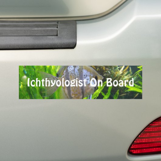 Angelfish Bumpersticker (Op auto)