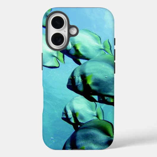 Angelfish Clear Blue Water Case-Mate iPhone Case (Achterkant)