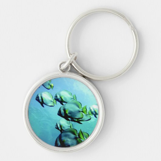 Angelfish Clear Blue Water Sleutelhanger (Voorkant)