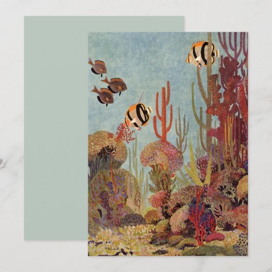 Angelfish in koraal, tropische vissen in de oceaa (Voorkant / Achterkant)