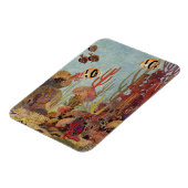 Angelfish in koraal,  tropische vissen in de oceaa magneet (Linkerzijde)