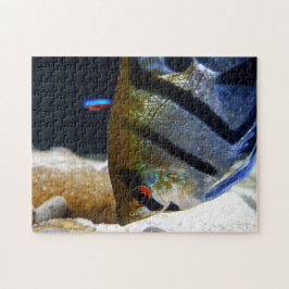 Angelfish Keepers Freshwater Aquarium Legpuzzel