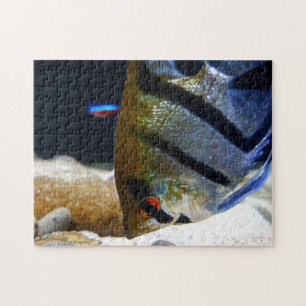 Angelfish Keepers Freshwater Aquarium Legpuzzel