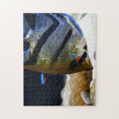 Angelfish Keepers Freshwater Aquarium Legpuzzel (Verticaal)