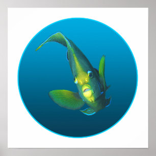 Angelfish - Ontwerp op gradiënt blauwe achtergrond Poster