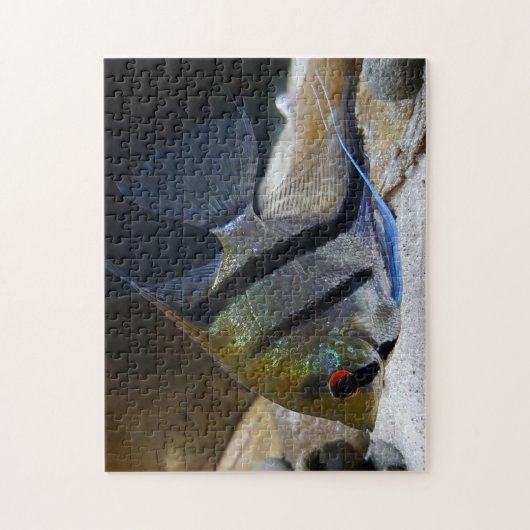 Angelfish Tropical Fish Keeper Legpuzzel (Verticaal)