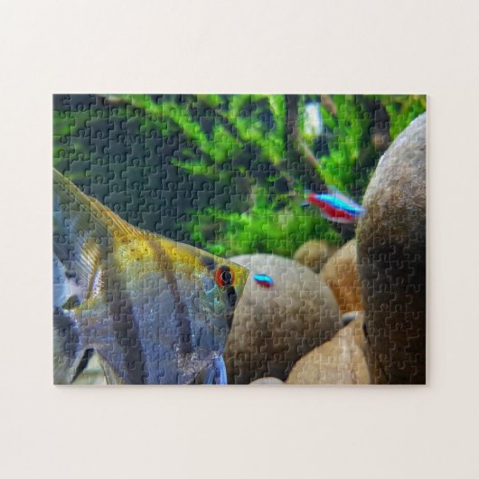 Angelfish Tropical Fish Tank Legpuzzel (Horizontaal)