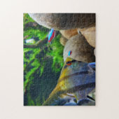 Angelfish Tropical Fish Tank Legpuzzel (Verticaal)