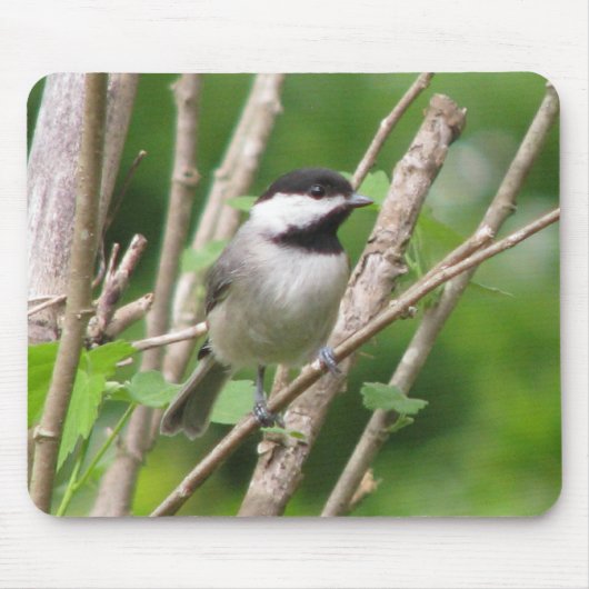 Angelic C. Chickadee Mousepad Muismat (Voorkant)