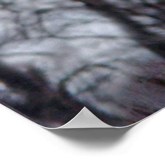 Angelic Crow Poster (Hoek)