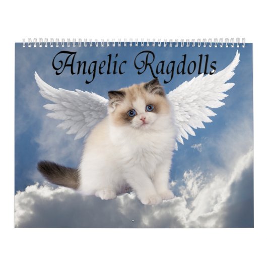 Angelic Ragdoll Cats Kalender (Hoes)