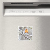 Angelic Robin Waterverf Magneet (Insitu (Vaatwasser))