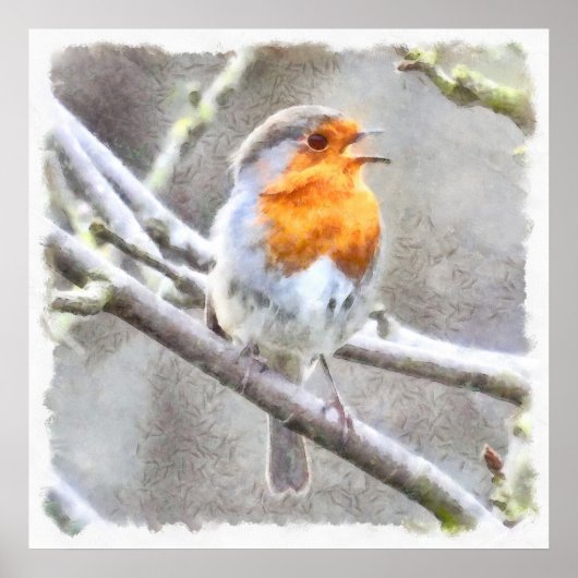 Angelic Robin Waterverf Poster (Voorkant)