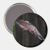 Angelic Wings Magneet (Voorkant / Achterkant)