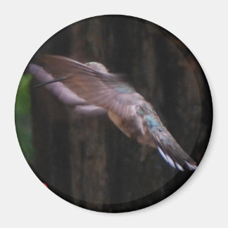 Angelic Wings Magneet