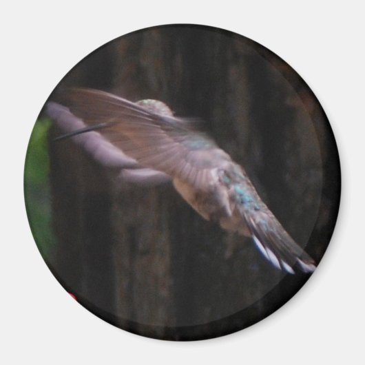 Angelic Wings Magneet (Voorkant)