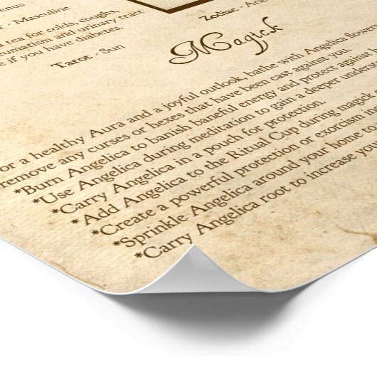 ANGELICA MAGICK HERB POSTER (Hoek)