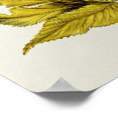 Angelica, uit "La Guirlande de Julie", c.1642 Poster (Hoek)