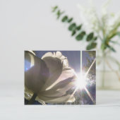 angelique tulp briefkaart (Staand voorkant)