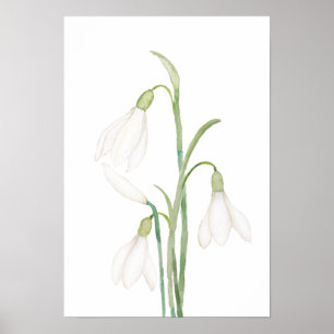 angelische sneeuwbloemen waterverf poster