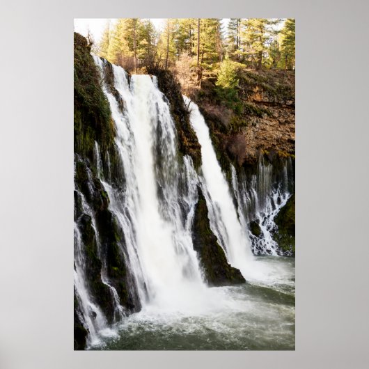 Angels Camp Californias beroemdste Gold Rush Poster (Voorkant)