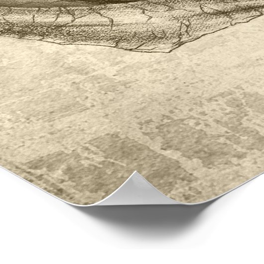 Angels en Demons - Reflectie Poster (Hoek)