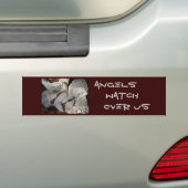 Angels, kijk naar ons bumpersticker (Op auto)