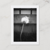 Angel's Kiss Visitekaartje (Achterkant)