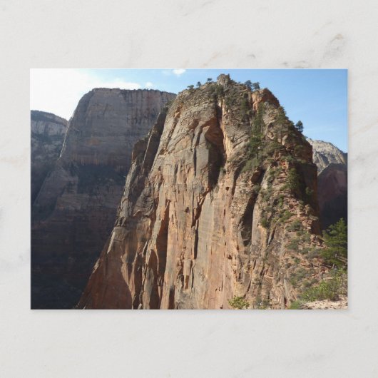 Angels Landing in Zion National Park Briefkaart (Voorkant)