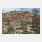 Angels Landing in Zion National Park Inpakpapier Vel (Voorkant 3)